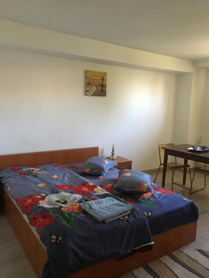 Vila 2 บูคาเรสต์ ภายนอก รูปภาพ